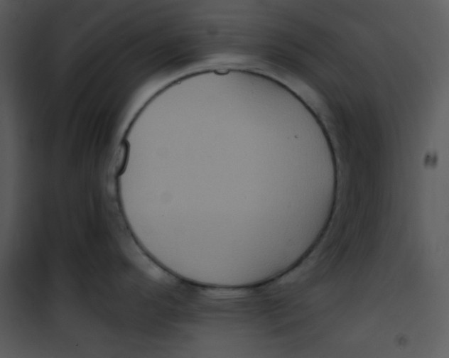 X0000100841296200807180912