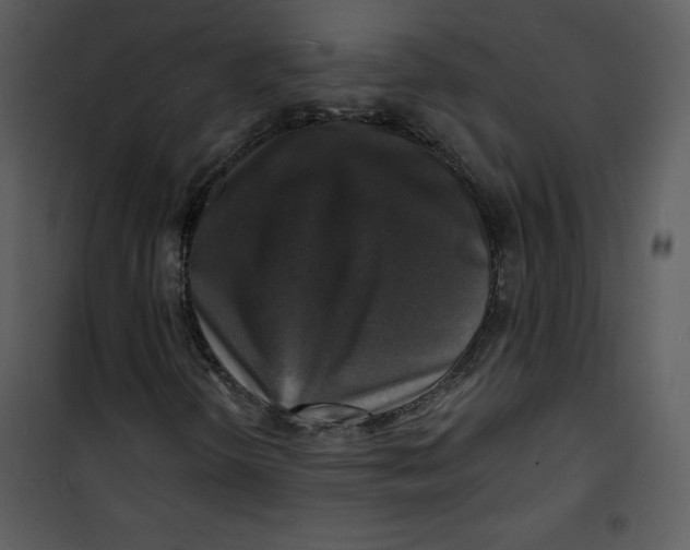 X0000100841298200807180911