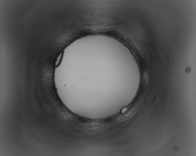 X0000100841300200807180911