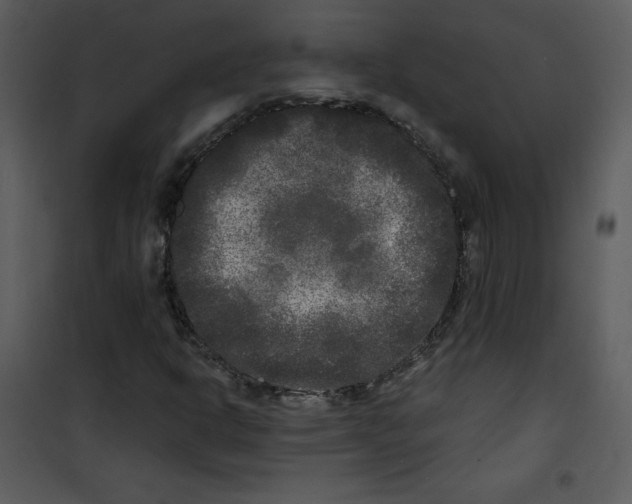 X0000100841302200807180911