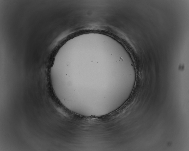 X0000100841304200807180911