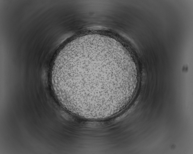 X0000100841305200807180911