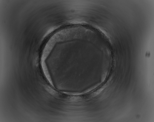 X0000100841306200807180911