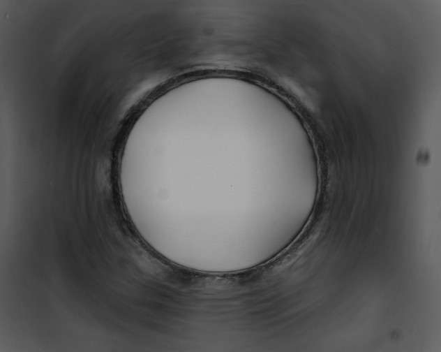 X0000100841307200807180911