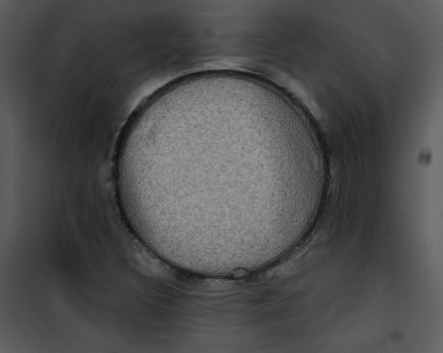 X0000100841308200807180911