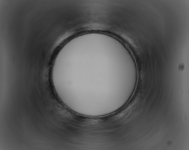 X0000100841309200807180911