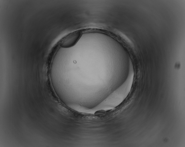 X0000100841310200807180911