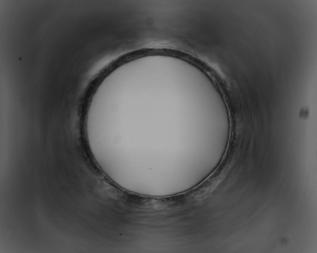 X0000100841311200807180911