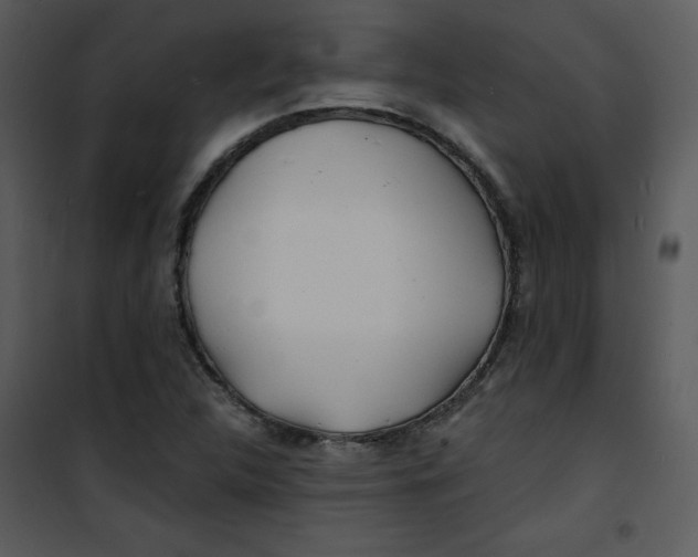 X0000100841312200807180911