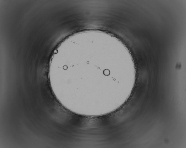 X0000100841314200807180911