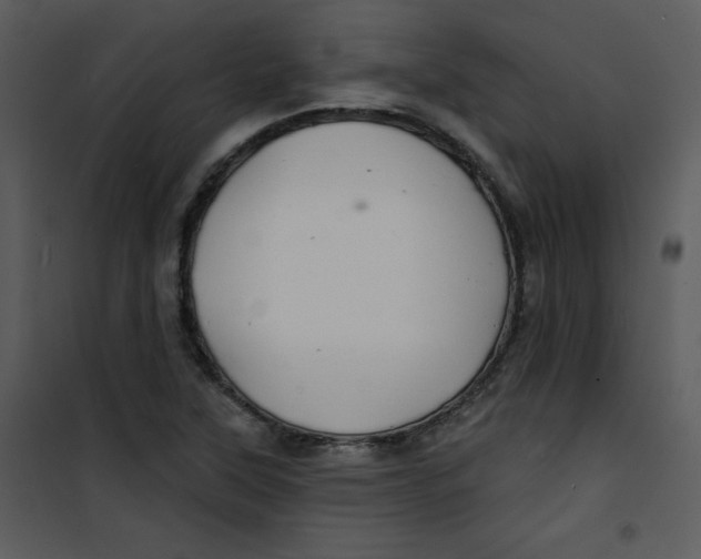 X0000100841315200807180911