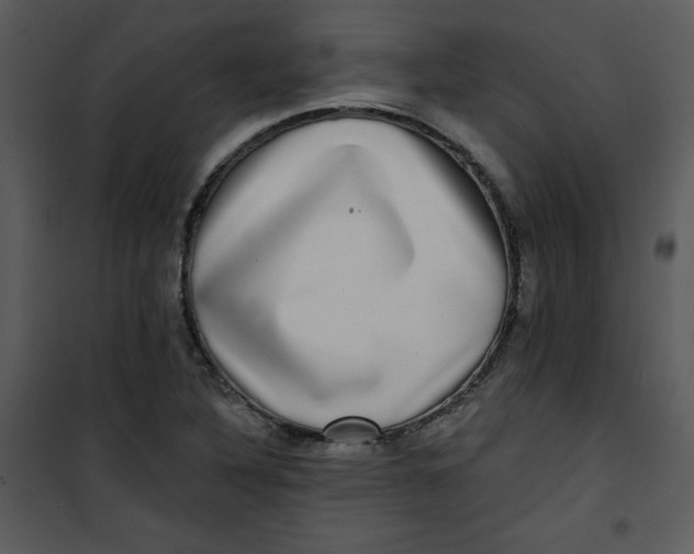 X0000100841316200807180911