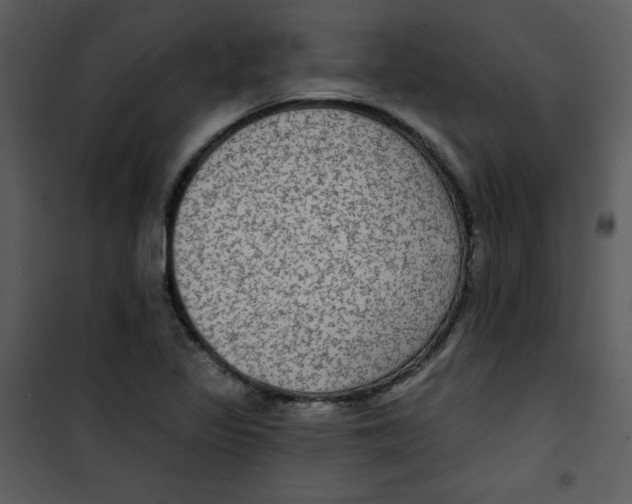 X0000100841317200807180911