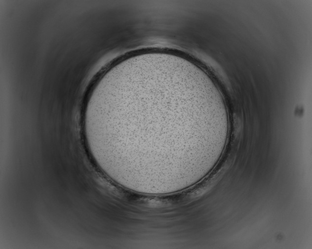 X0000100841318200807180911