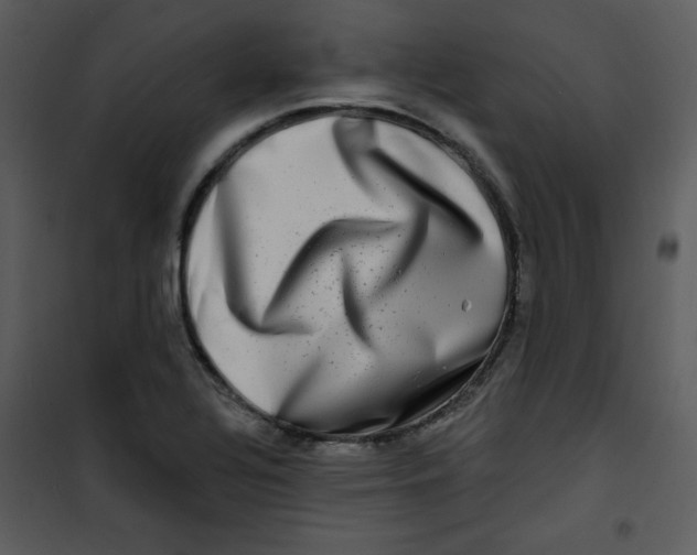 X0000100841320200807180911