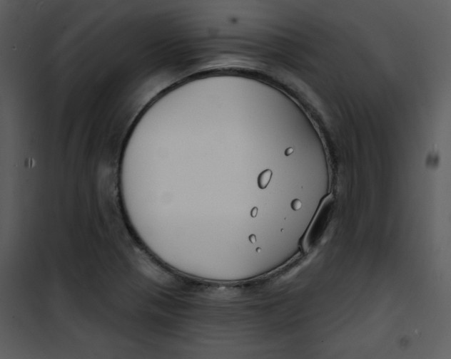 X0000100841321200807180911