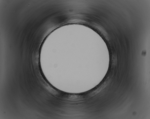 X0000100841322200807180911