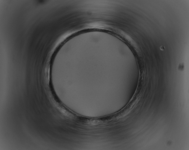 X0000100841323200807180911