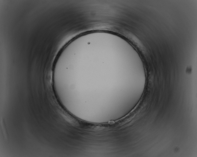 X0000100841324200807180911