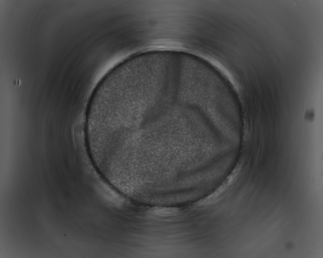 X0000100841325200807180911