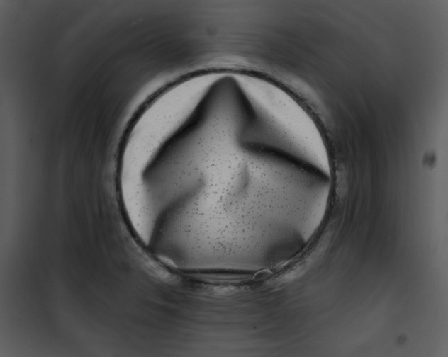 X0000100841326200807180911