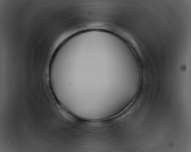 X0000100841328200807180911