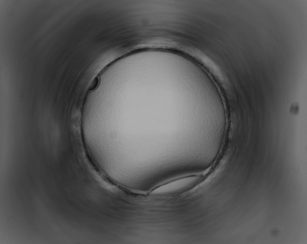 X0000100841329200807180911