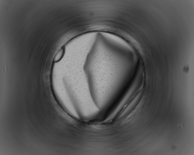 X0000100841330200807180911