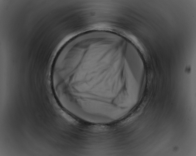 X0000100841331200807180911