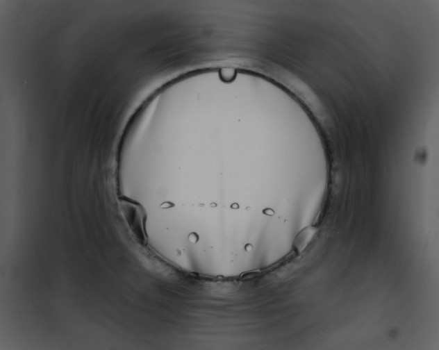 X0000100841332200807180911