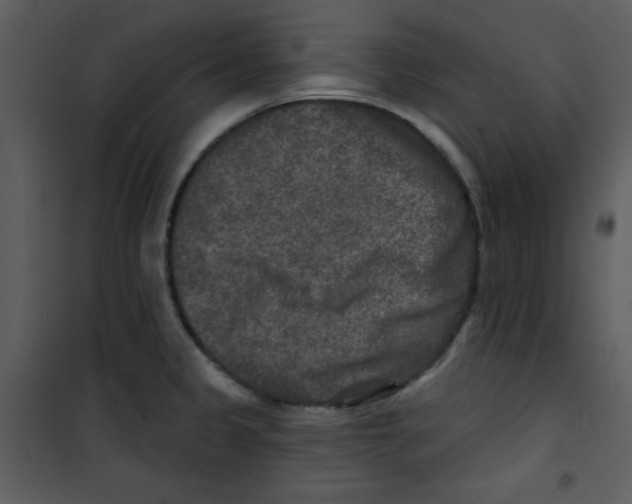 X0000100841333200807180911