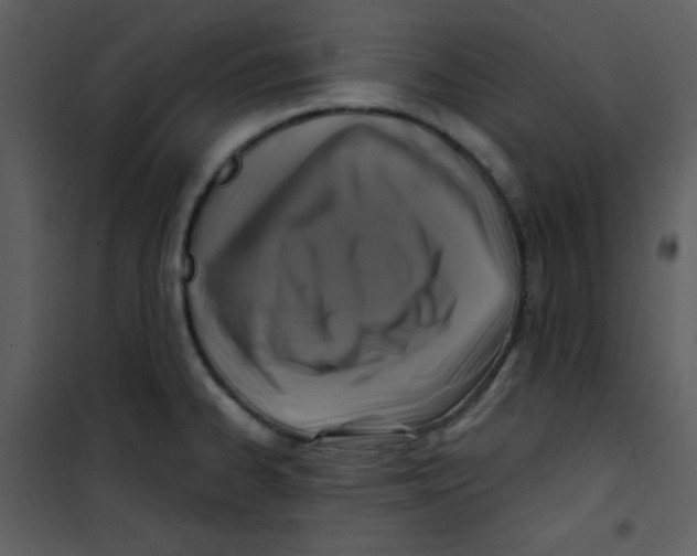 X0000100841334200807180911