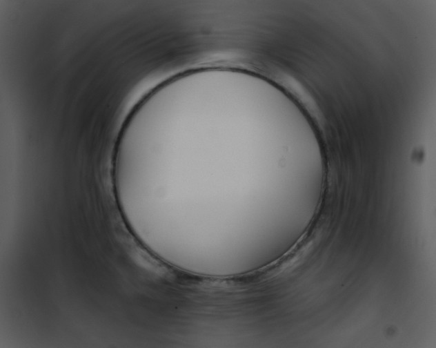 X0000100841336200807180911