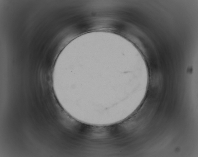 X0000100841338200807180911