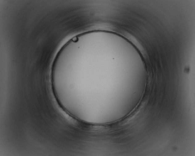 X0000100841339200807180911