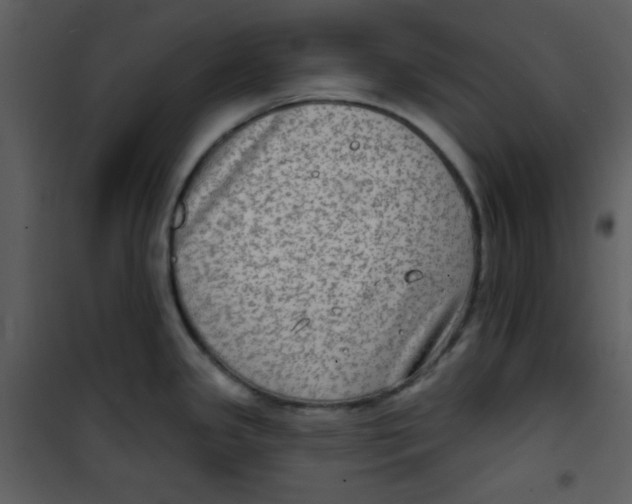 X0000100841341200807180911