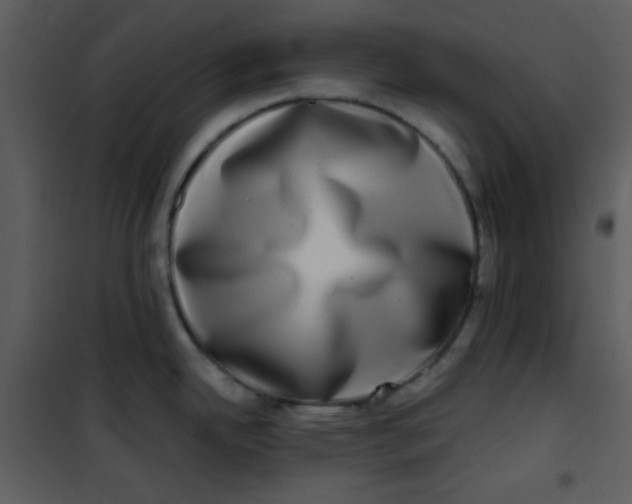 X0000100841342200807180912