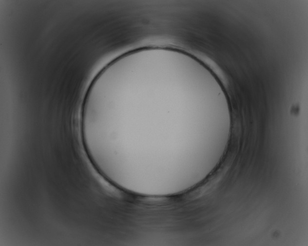 X0000100841343200807180912