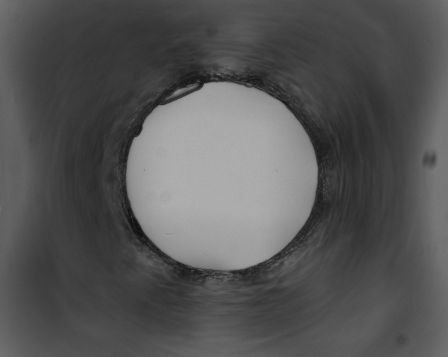 X0000100841345200807180911