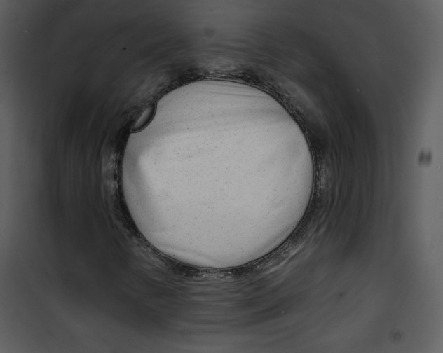 X0000100841346200807180911