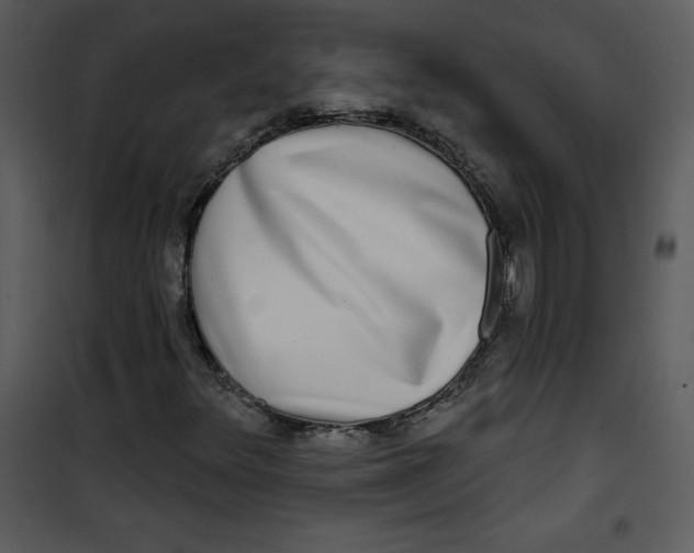 X0000100841348200807180911