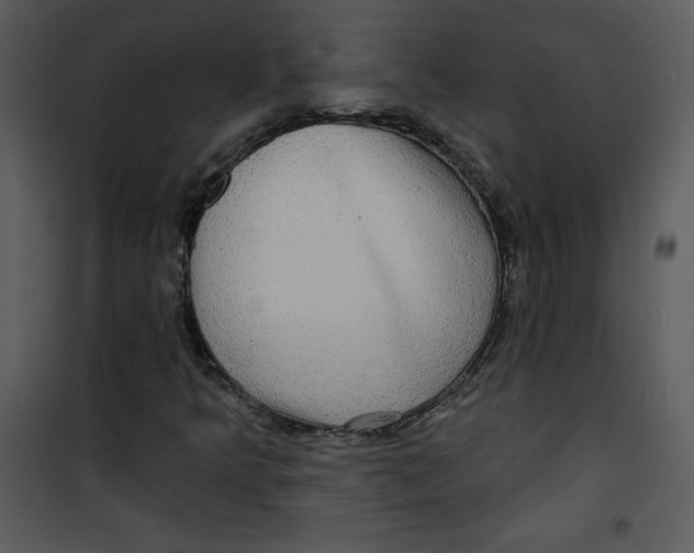 X0000100841349200807180911