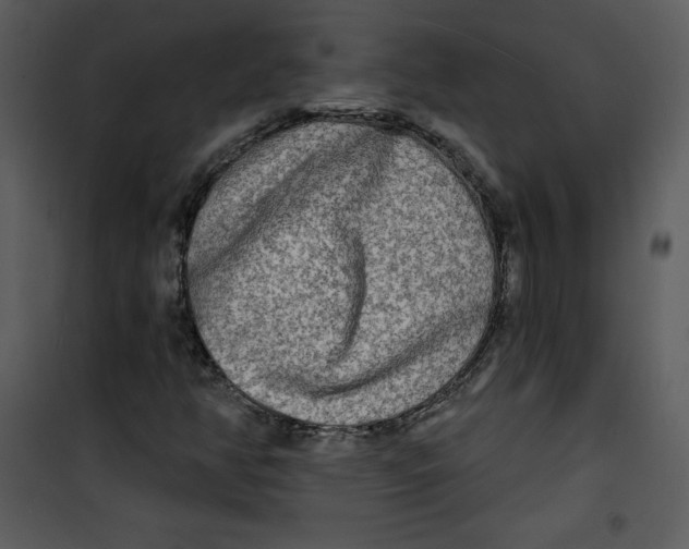 X0000100841350200807180911