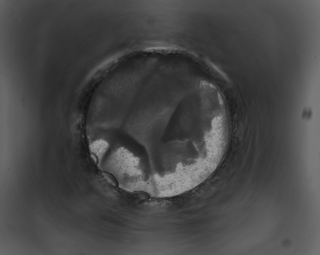 X0000100841351200807180911