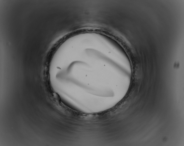 X0000100841352200807180911