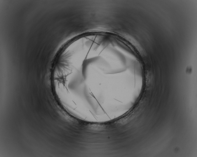 X0000100841356200807180911