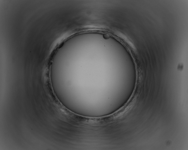 X0000100841357200807180911