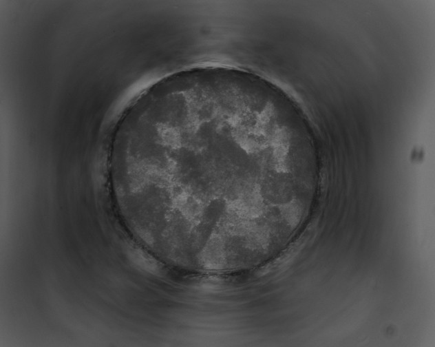 X0000100841359200807180911