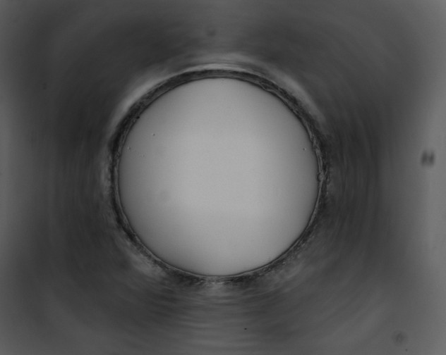 X0000100841360200807180911