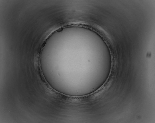 X0000100841361200807180911